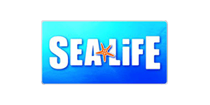 Sea Life