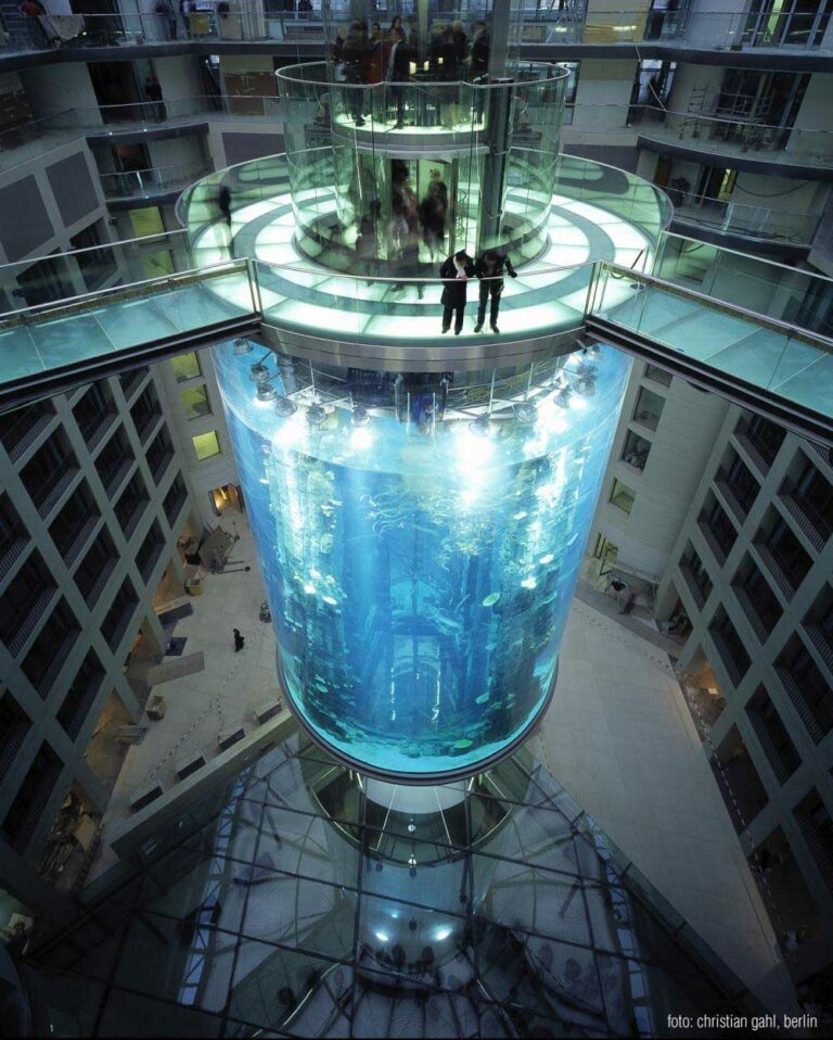 cylinder aquarium