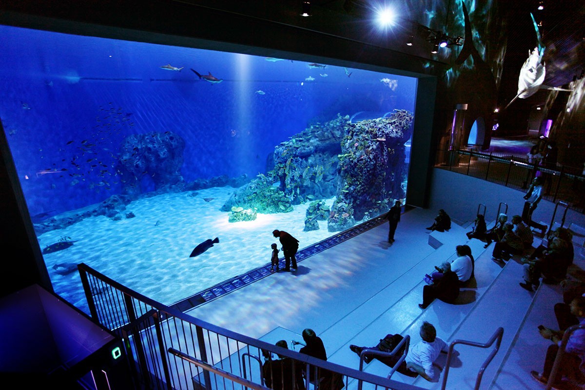 Blue deals water aquarium