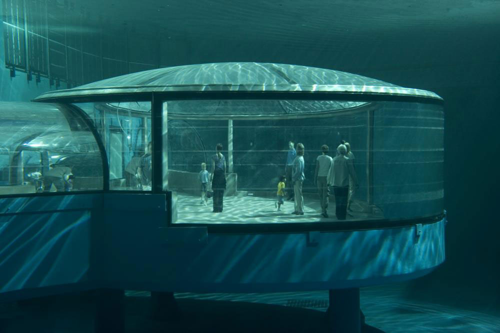 indianapolis zoo dolphin dome