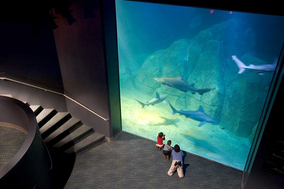 New Jersey State Aquarium - NJ Aquarium 00003