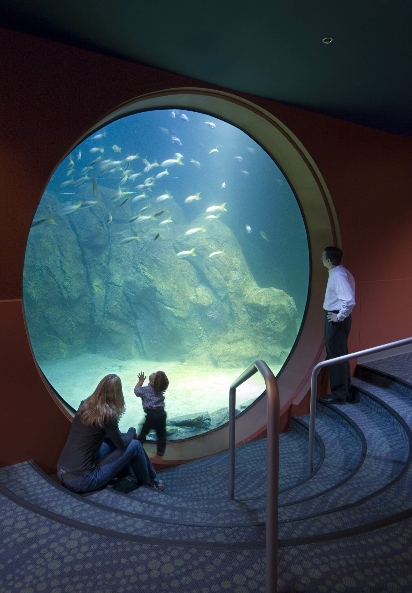 New Jersey State Aquarium - NJ Aquarium 00005