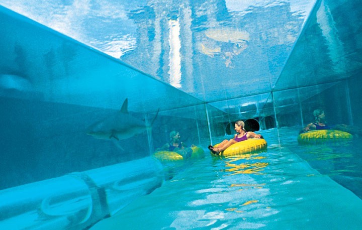 water slide through aquarium