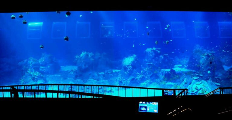 aquarium in resorts world sentosa