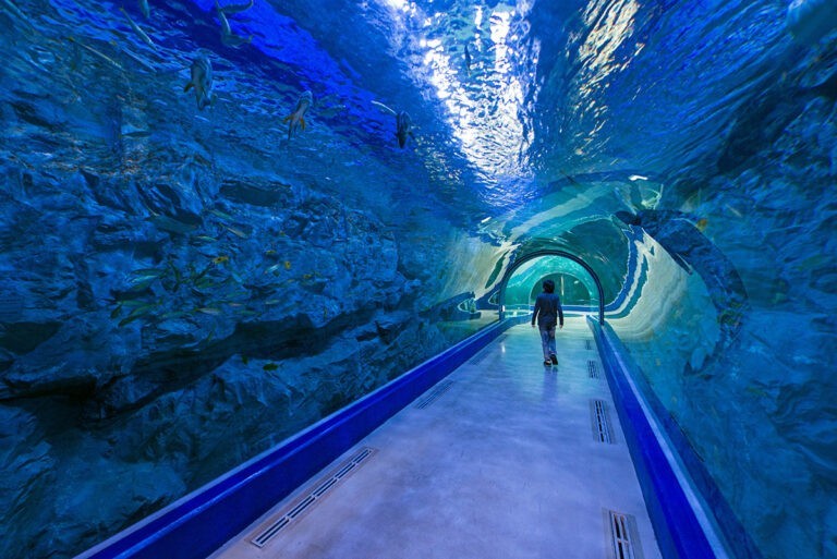 tunnels in aquarium