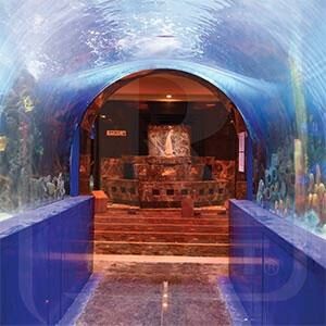 aquarium tunnel